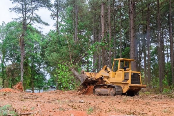 Property Clearing Service