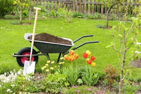 Spring Yard Cleanup Service
