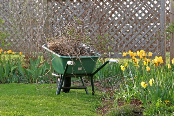 Garden Clearance Service