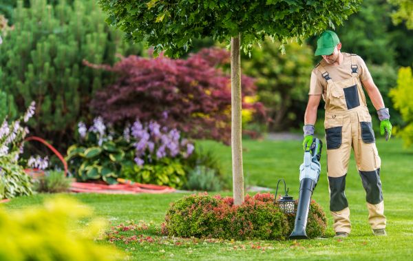 Grounds Maintenance