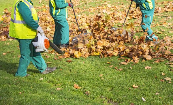 Leaf Maintenance Service