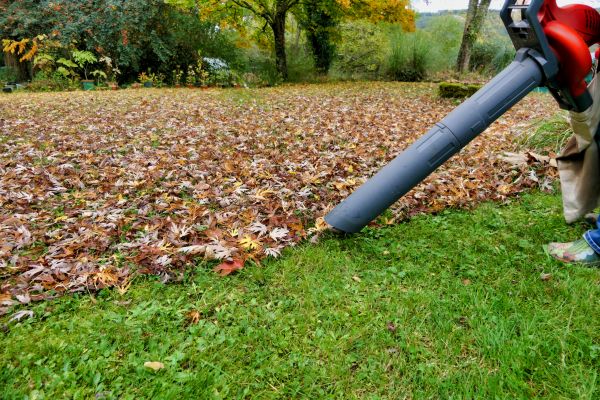 Cost of Leaves Vacuuming in Santa Rosa