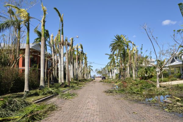 Disaster Debris Removal