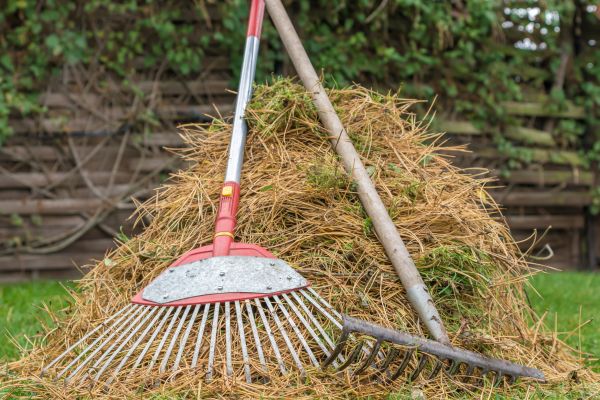 Pine Straw Clearing Service