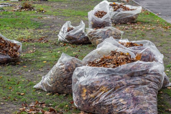 Cost of Leaf Pile Disposal in Santa Rosa