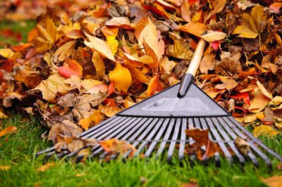 Fall Yard Maintenance Tools