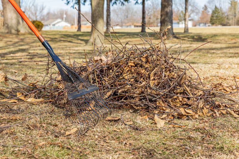 Leaf Cleanup Service