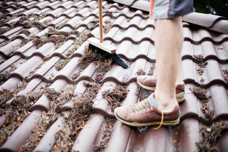 Pine Needles Removal